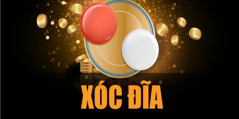 Những lưu ý quan trọng khi chơi Xóc Đĩa 3D